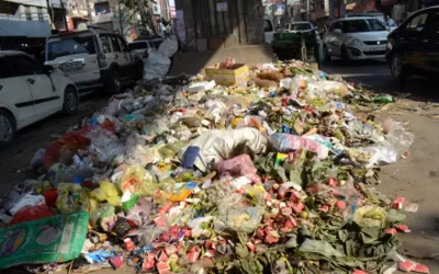 r4ku2l21uOpptVQ19ySq