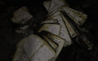 rZEubSiA5Ep1YgKUpfpV