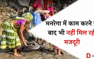 rfviRdrS7wQdT2jyCp32