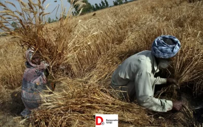 s42rr3e1JJvbzamq14Cf