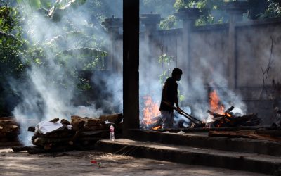 slJaGFS8FangEnkCUlgh