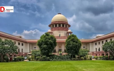 spad0QbOJwT4GDYcOXju