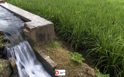 vUQtIY5FIjt9Y8Ct4MAV