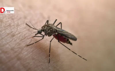 ve9uvzQNQWTqKULw5WTg