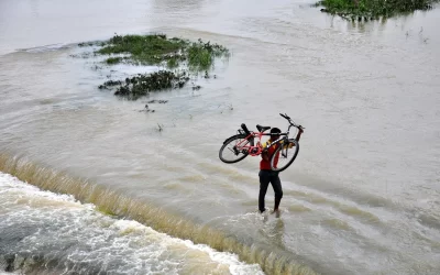 vipGHi8OdgLaSkL7gUck