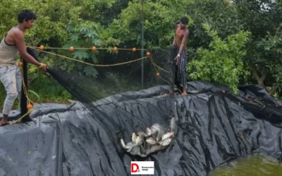 w7TrKInWJcCzhoV0ChRK