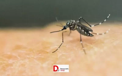 wAJnu9Xb5zr4rsBkId08