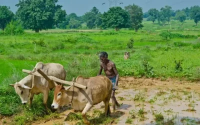 wrrNTCKteRzG89DaOBKN