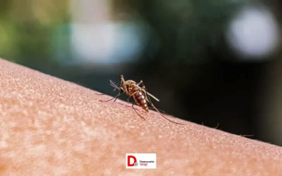 xDPKgLUmq5hbws0ZSj0x