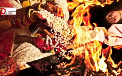 yLMZvBgwTOv6zNd3bSxe