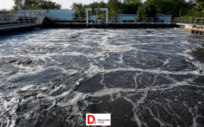 yPhhaA4dcZveovfm2zds