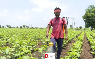 yqIza278ybPEeTvF6D79