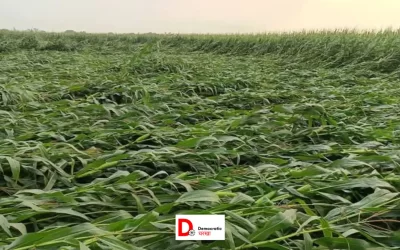 ywvMAHwZJDqfU6gp9E5q