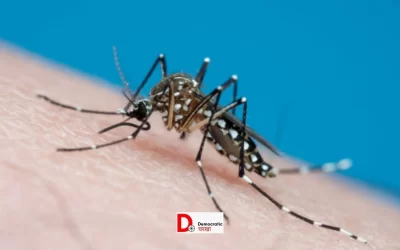 z1JByuieKdP9b4CIRHCW