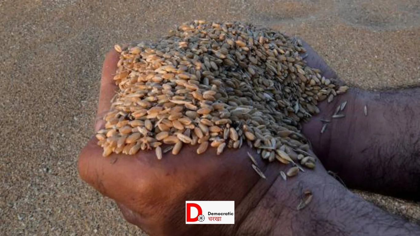  बिहार में किसानों को मुफ्त बीज