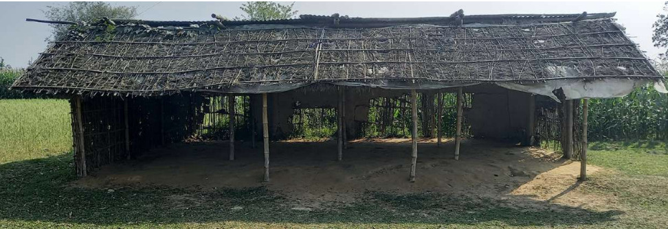 राज्य की शिक्षा व्यवस्था